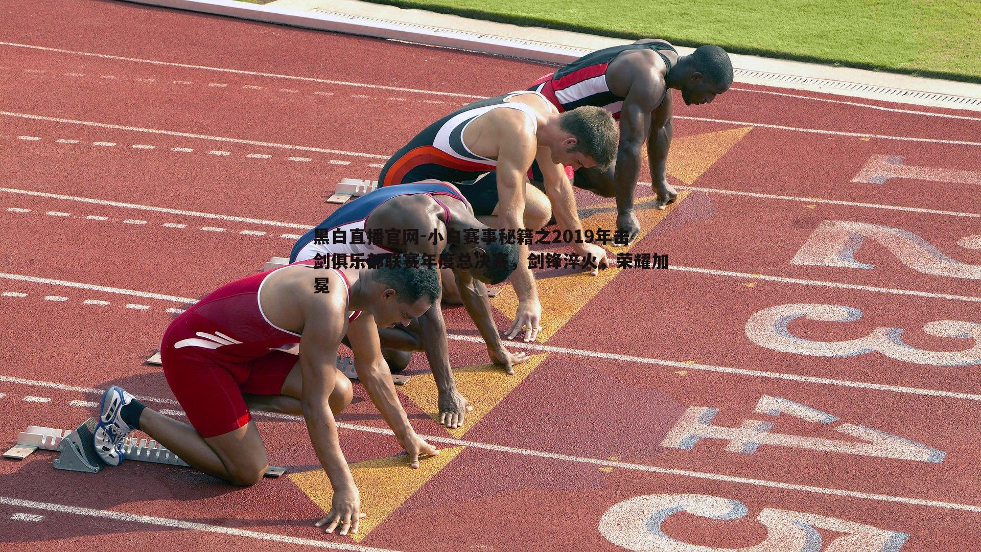 小白赛事秘籍之2019年击剑俱乐部联赛年度总决赛，剑锋淬火，荣耀加冕